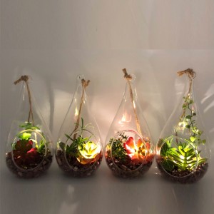 Заводы СИД стеклянная настольная декоративные искусственные суккулентные с вазой дисплея глобуса